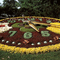horloge fleurie/floral clock